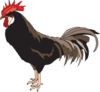 Brown Rooster Clip Art